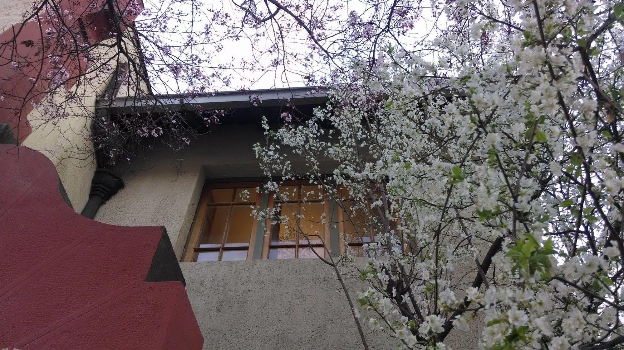 Providencia Bed & Breakfast Santiago Exterior photo